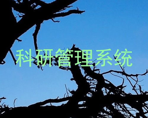 科研管理系统