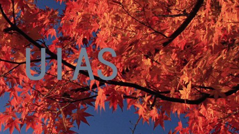 UIAS