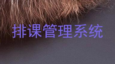 排课管理系统