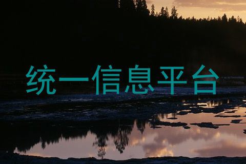 统一信息平台