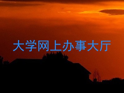 大学网上办事大厅
