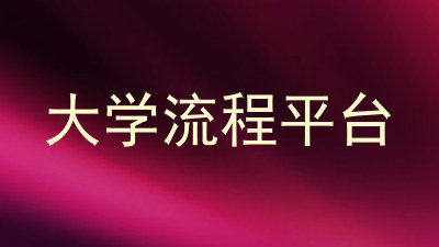 大学流程平台