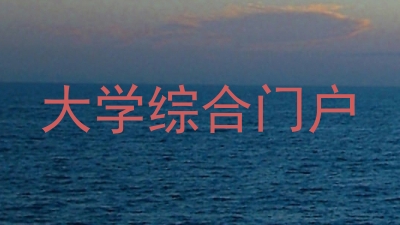 大学综合门户