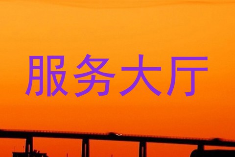 服务大厅