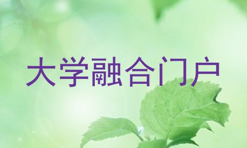 大学融合门户