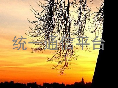 统一通信平台