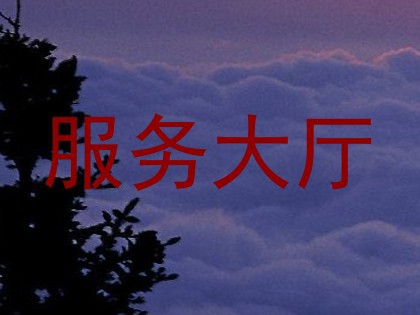 服务大厅