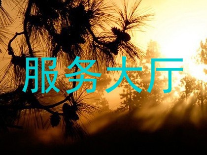 服务大厅