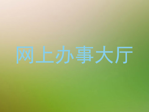 网上办事大厅