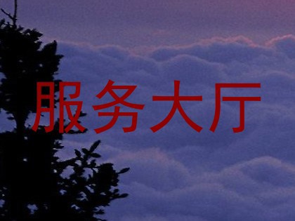 服务大厅