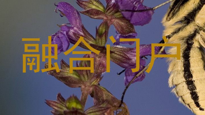 融合门户