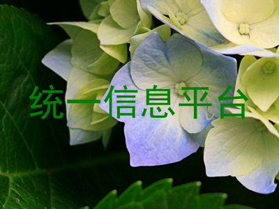 统一信息平台