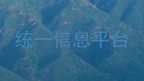 统一信息平台