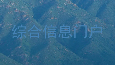 综合信息门户