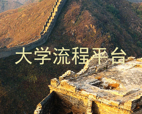 大学流程平台