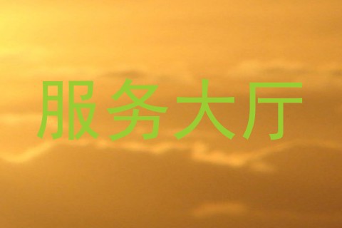服务大厅