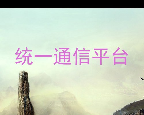 统一通信平台
