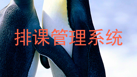 排课管理系统