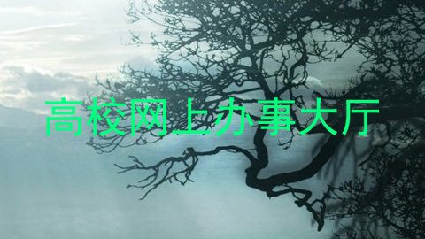 高校网上办事大厅