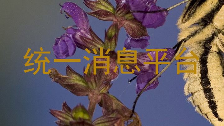 统一消息平台