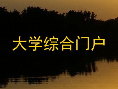 大学综合门户