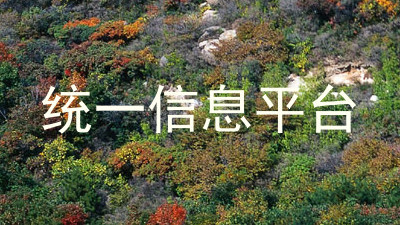 统一信息平台