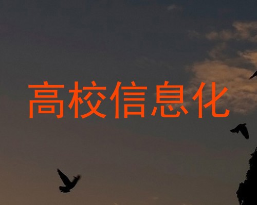 高校信息化