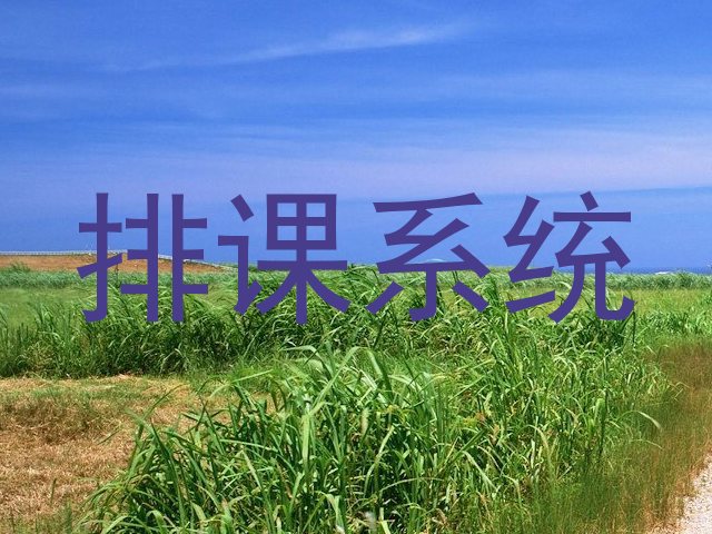 排课系统
