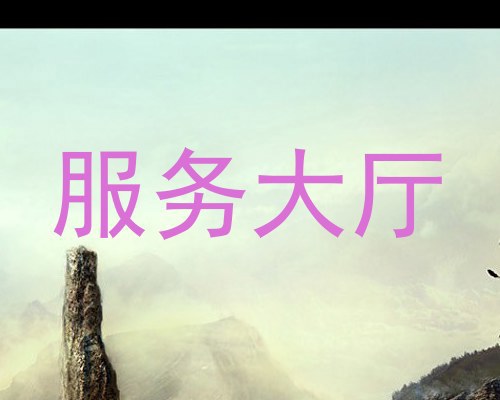 服务大厅
