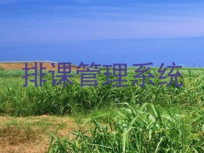 排课管理系统