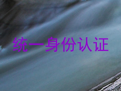 统一身份认证