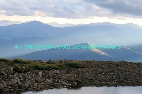 学工管理系统部署前必须验证的5类数据接口兼容性?