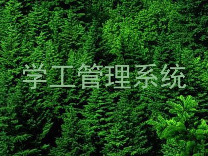 学工管理系统