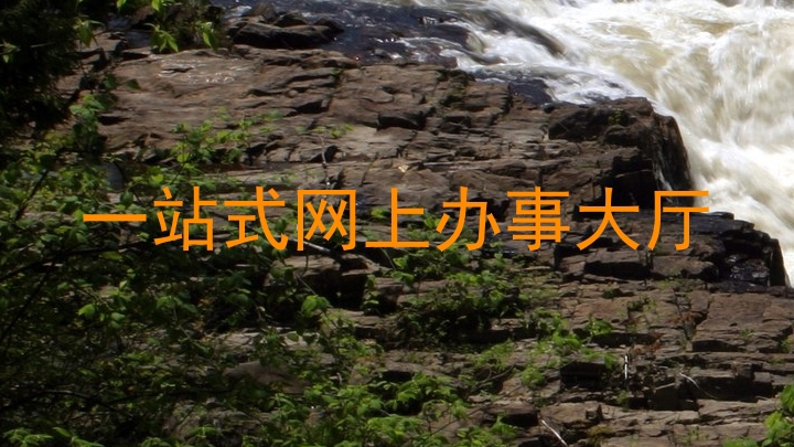 一站式网上办事大厅