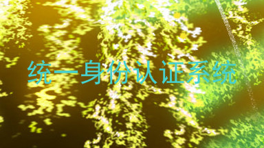 统一身份认证系统
