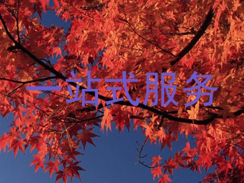 一站式服务