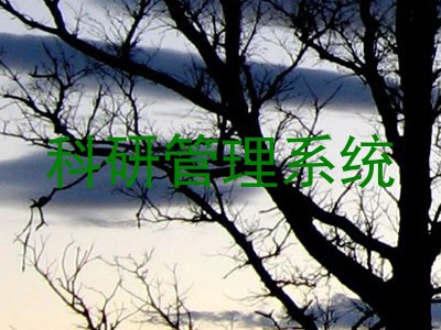 科研管理系统