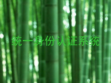 统一身份认证系统