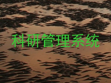 科研管理系统