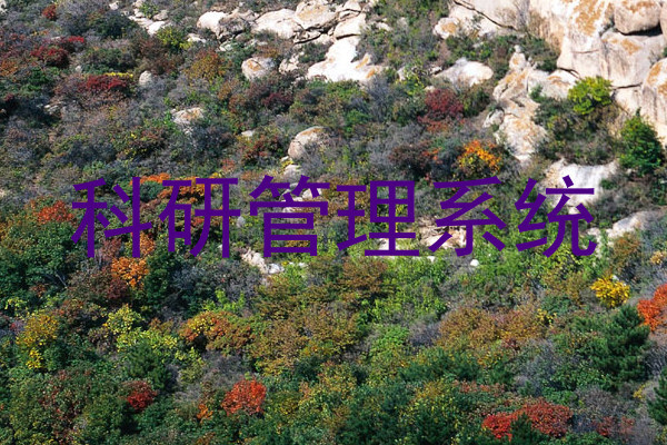 科研管理系统