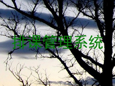 排课管理系统
