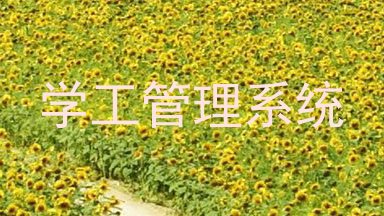 学工管理系统