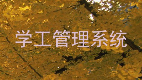 学工管理系统