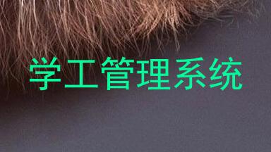 学工管理系统