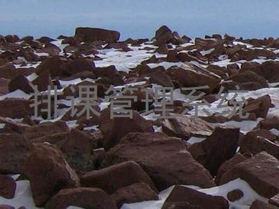 排课管理系统