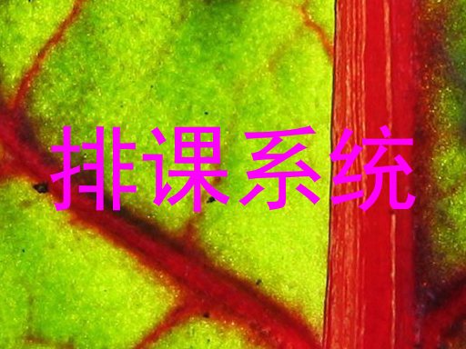 排课系统