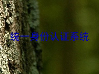 统一身份认证系统