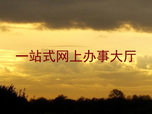 一站式网上办事大厅