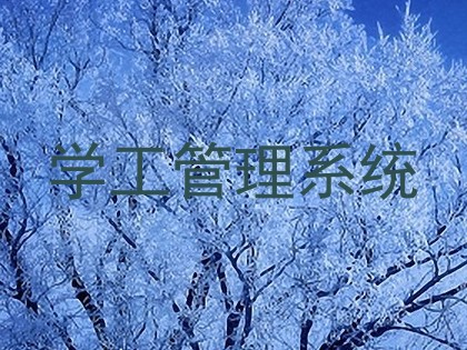 学工管理系统