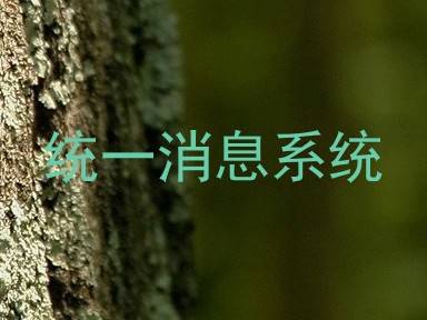 统一消息系统